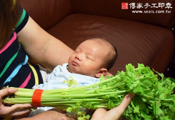 張寶寶(台中太平區到府嬰兒寶寶滿月剃頭理髮、免費到府嬰兒剃胎毛儀式吉祥話)。到府剃頭剃胎毛主持、專業拍照、DVD光碟、證書。★購買「臍帶章、肚臍章、胎毛筆刷印章」贈送：剃頭、收涎、抓周，三選一。2015.11.15 照片10